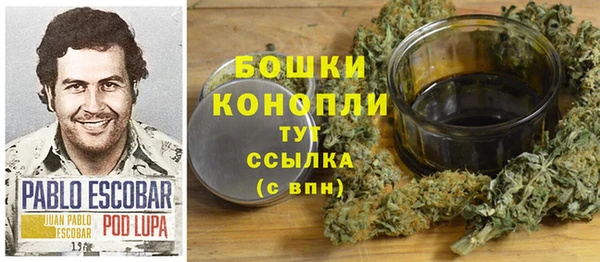 apvp Аркадак
