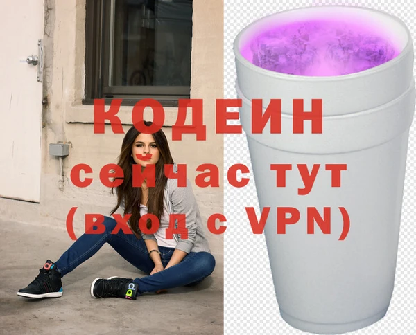 прущие грибы Армянск