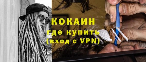 прущие грибы Армянск