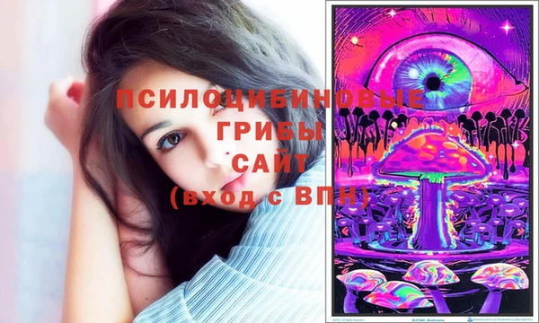 гидропоника Няндома