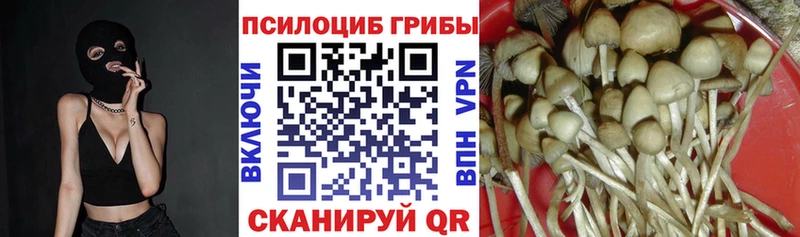 Галлюциногенные грибы ЛСД  Староминская 